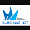 Bluehills Networks Sdn. Bhd. Logo