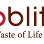 Flavo Blitz Sdn Bhd Logo
