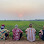 Lazy Mango Homestay // Battambang Tuk Tuk Buddy Logo