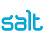 Salt Recruitment Agency Malaysia Logo