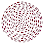 Java Creative Cafe Toul Kork logo