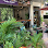 Suite Home Boutique Hotel Logo
