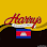 Harry's Bar & Restaurant SR Logo