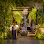 Sokkhak River Lounge Logo