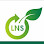 Lns Metal Logo