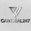 Camdeal247 Logo