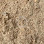 Habuk Kayu Saw Dust Malaysia 木屑 Logo